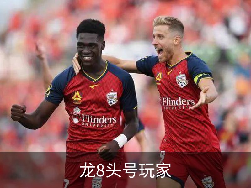 龙8头号玩家简介